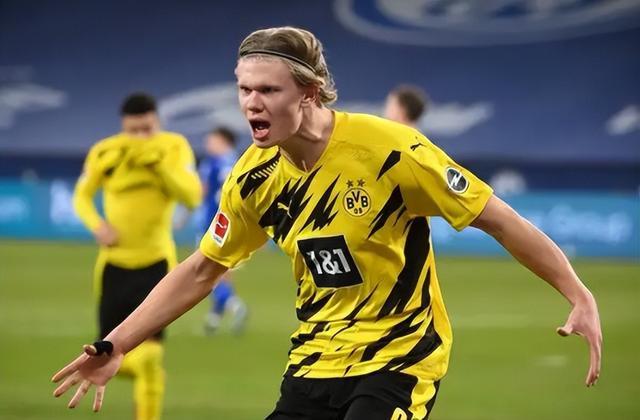 雄鹿或选择 雄鹿或选择